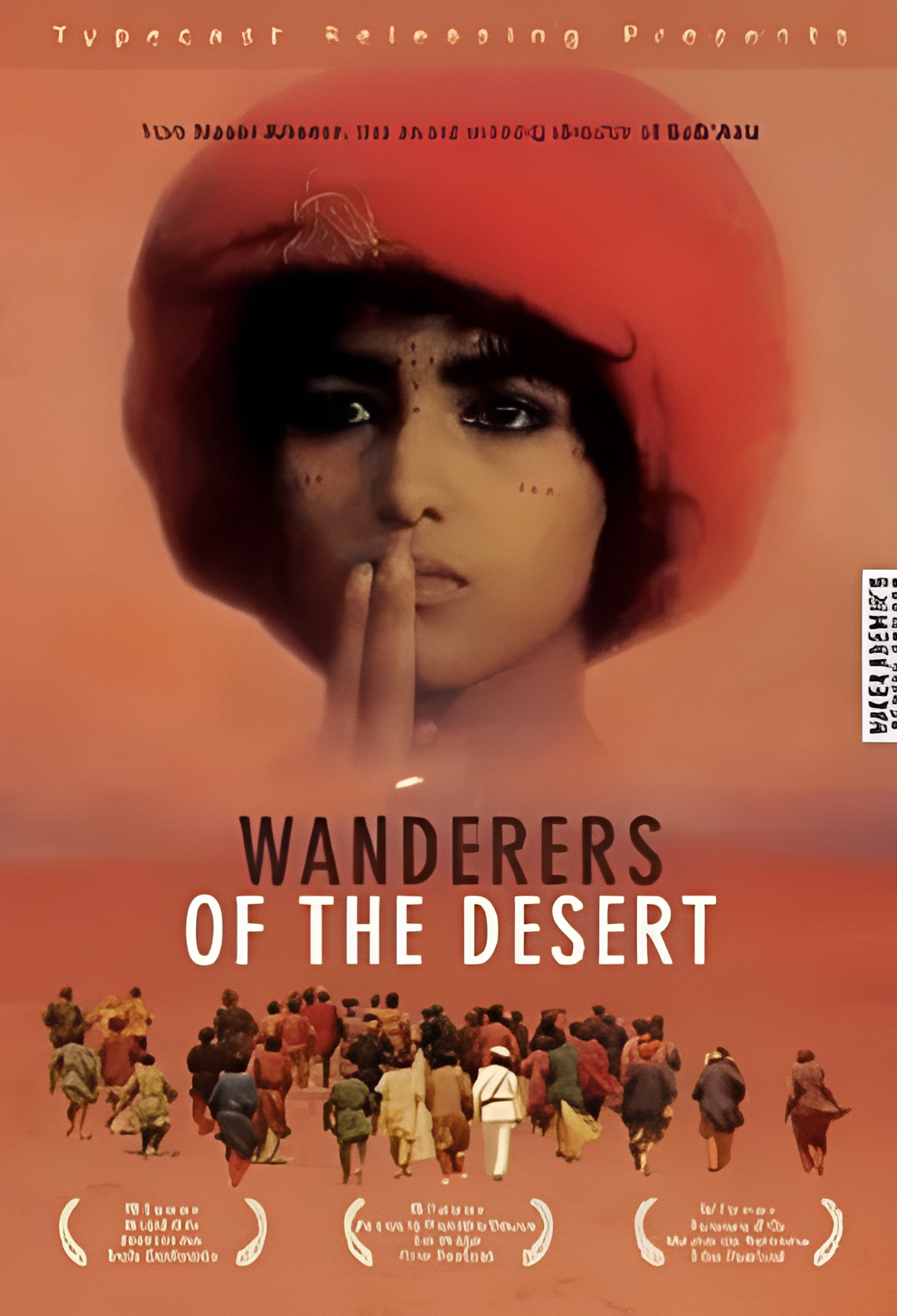 沙漠里的流浪者